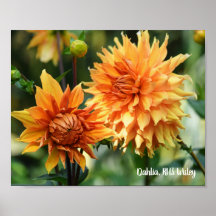 Orange & Yellow Dahlia Garden Blume RHS Wisley