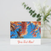Orange Yellow Flowers Tree Sky Postcard Postkarte (Stehend Vorderseite)