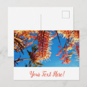 Orange Yellow Flowers Tree Sky Postcard Postkarte (Vorne/Hinten)
