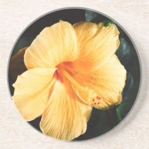 Orange Yellow Hibiskus Blume Untersetzer