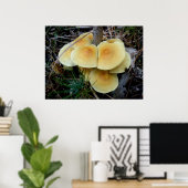 Orange Yellow Mushroom Colony OBX Poster (Heimbüro)