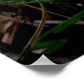 Orange Yellow Mushroom Colony OBX Poster (Ecke)