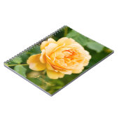Orange Yellow Rose Notizblock (Linke Seite)
