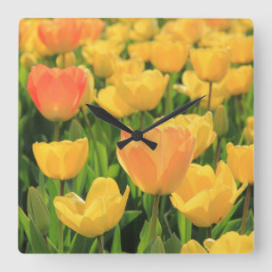 Orange yellow tulips by Thespringgarden Quadratische Wanduhr