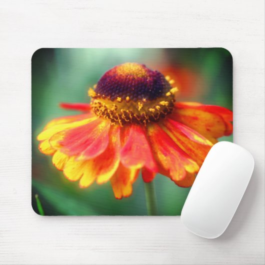 Orange Yellow Zinnia Daisy Blume Mousepad (Mit Mouse)
