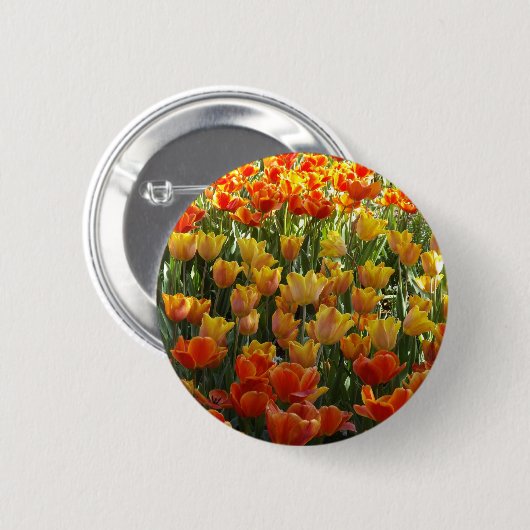 Orange-&-Yelow-Tulips.jpg Button (Vorne & Hinten)