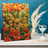 Orange-&-Yelow-Tulips.jpg Fotoplatte (Seite)