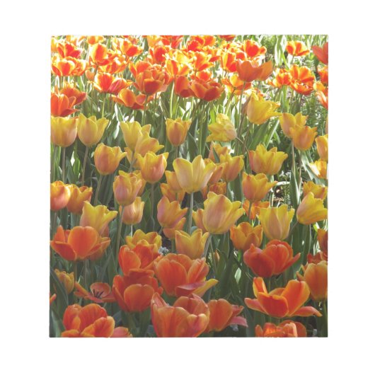 Orange-&-Yelow-Tulips.jpg Notizblock (Vorderseite)