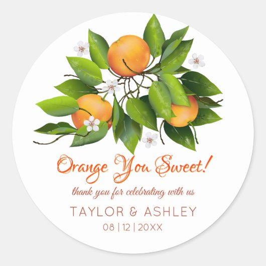 Orange You Sweet Fruit | Hochzeit Runder Aufkleber (Vorderseite)
