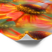 Orange Zinnia Blume Abstrakt Poster (Ecke)