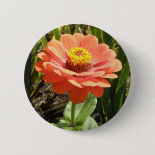 Orange Zinnia Blume Button