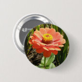 Orange Zinnia Blume Button (Vorne & Hinten)
