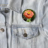 Orange Zinnia Blume Button (Beispiel)