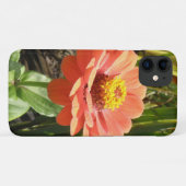 Orange Zinnia Blume iPhone 3 Fall Case-Mate iPhone Hülle (Rückseite (Horizontal))