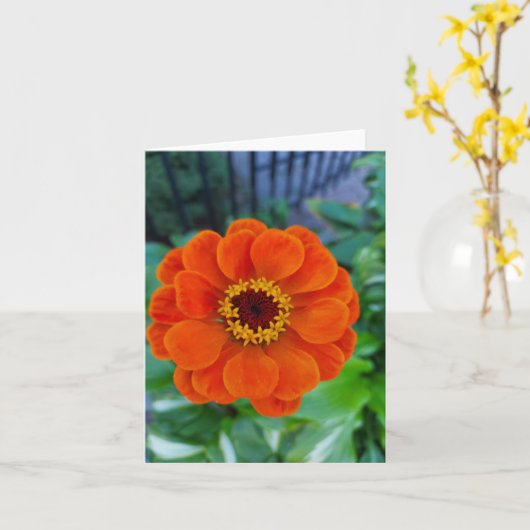 Orange zinnia Blume Karte (Gelbe Blume)