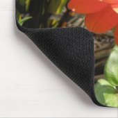 Orange Zinnia Blume Mousepad (Ecke)