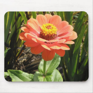 Orange Zinnia Blume Mousepad