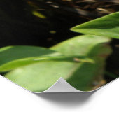 Orange Zinnia Blume Print Poster (Ecke)