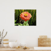 Orange Zinnia Blume Print Poster (Küche)