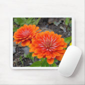 Orange Zinnia-Blumen Mousepad (Mit Mouse)
