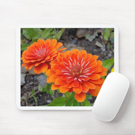 Orange Zinnia-Blumen Mousepad (Mit Mouse)