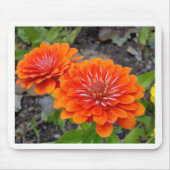 Orange Zinnia-Blumen Mousepad (Vorne)