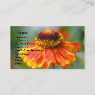 Orange Zinnia Flower Fotografy Business Card Visitenkarte