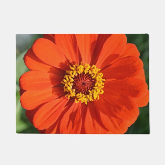 Orange Zinnia Fußmatte (Vorderseite)