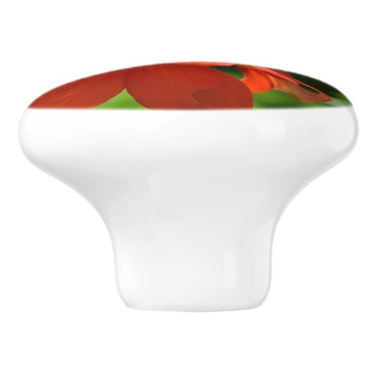 Orange Zinnia Keramikknauf (Seitenansicht)