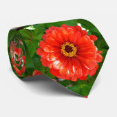 Orange Zinnia Krawatte (Gerollt)