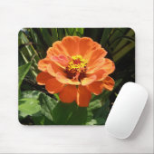 Orange Zinnia Mousepad (Mit Mouse)