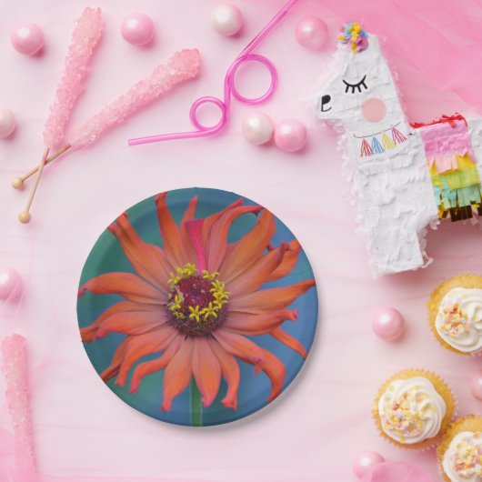 Orange Zinnia Papierplatte Pappteller (Party)