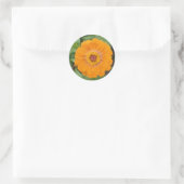 Orange Zinnia Runder Aufkleber (Tasche)