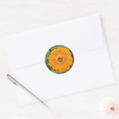 Orange Zinnia Runder Aufkleber (Umschlag)