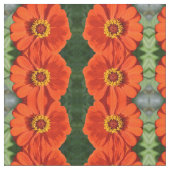 Orange Zinnia Stoff (Nahaufnahme)