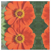 Orange Zinnia Stoff (Nahaufnahme)