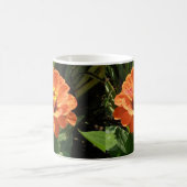 Orange Zinnia Tasse (Mittel)