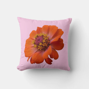 Orange Zinnia Wildblume Natur Flora Kissen