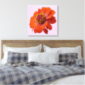 Orange Zinnia Wildblume Natur Flora Leinwanddruck (Insitu (Schlafzimmer))