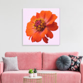 Orange Zinnia Wildblume Natur Flora Leinwanddruck (Insitu (Wohnzimmer))