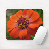 Orange Zinnia Wildblume Natur Flora Mousepad (Mit Mouse)