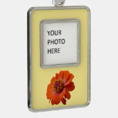 Orange Zinnia Wildblume Natur Flora Rahmen-Ornament Silber (Rechts)