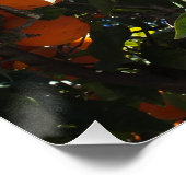 orange, Zitrone, Frucht, frisch, Scheibe, Essen, r Poster (Ecke)