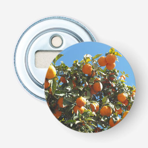 Orange, Zitrusfrüchte, frische Früchte, Scheiben, Flaschenöffner