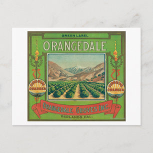 Orangedale Orange LabelRedlands, CA Postkarte