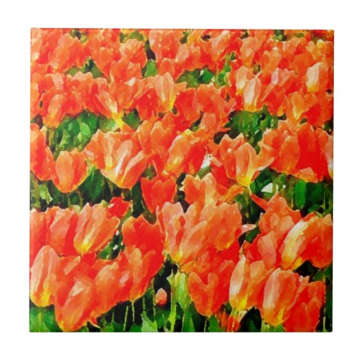 Orangefächer für Tulpen Fliese (Vorderseite)