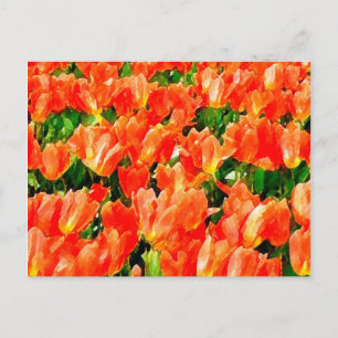 Orangefächer für Tulpen Postkarte