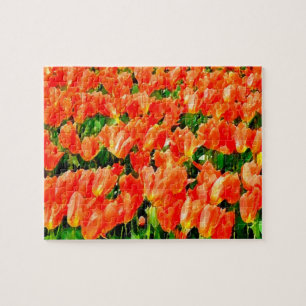 Orangefächer für Tulpen Puzzle
