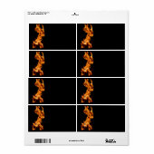 Orangefarben (Vorne)