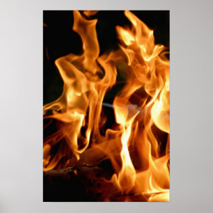 Orangefarben Poster
